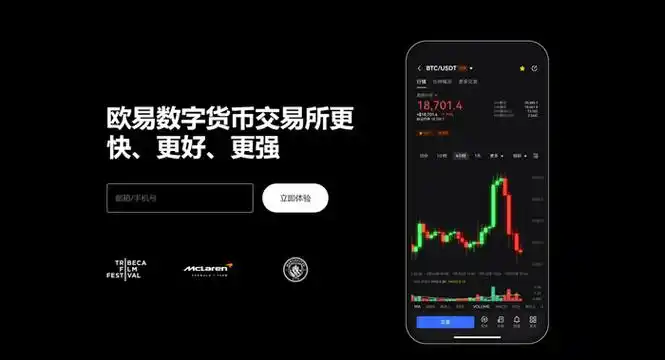 topay交易平台下载平台展示图